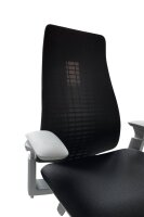 Bürodrehstuhl "FERN" von Haworth mit Wave Suspension®-Rücken